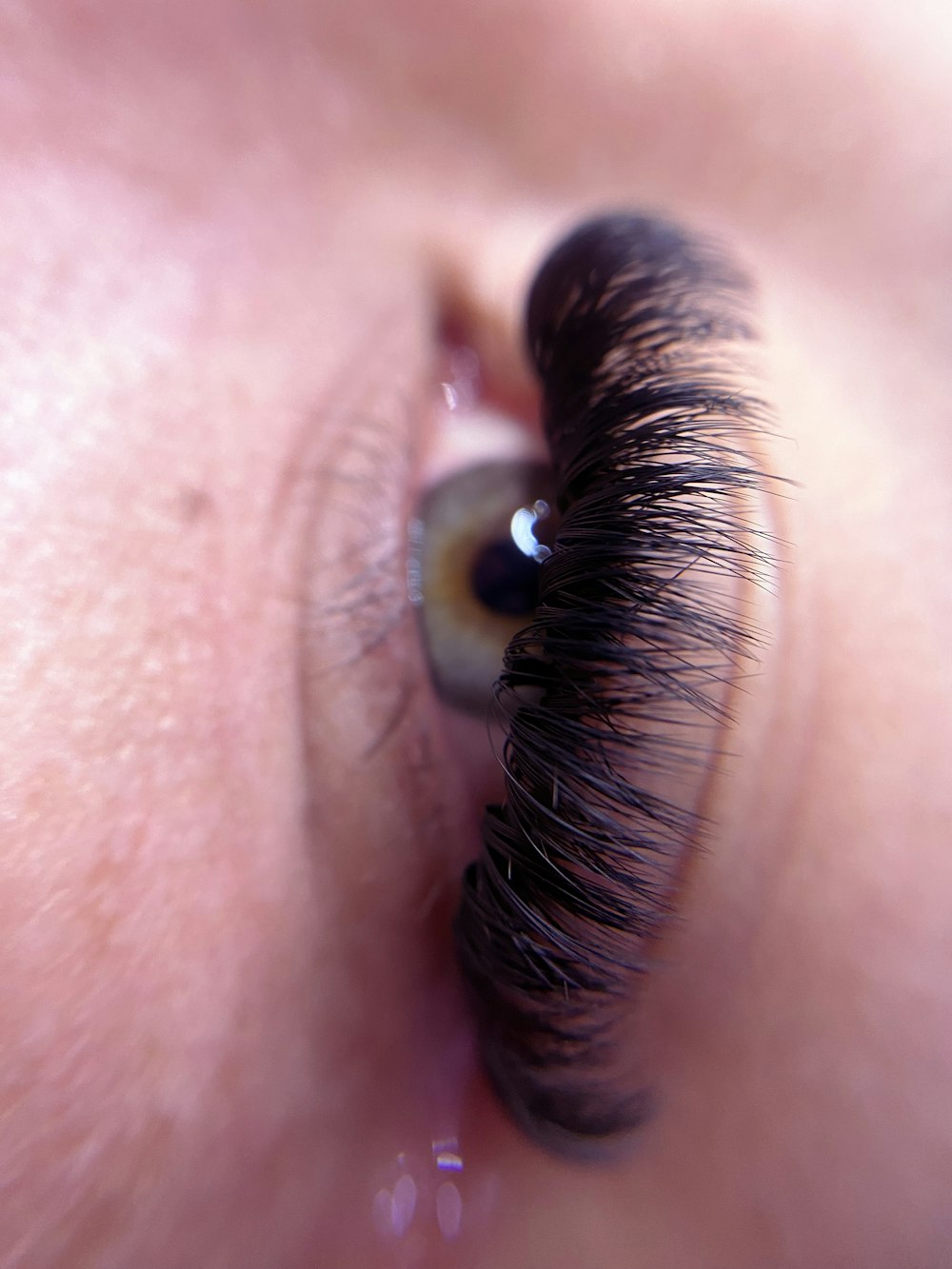 Close-up of full, curled lashes